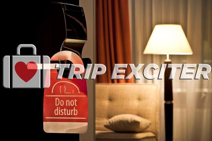 trip-exciter-pic